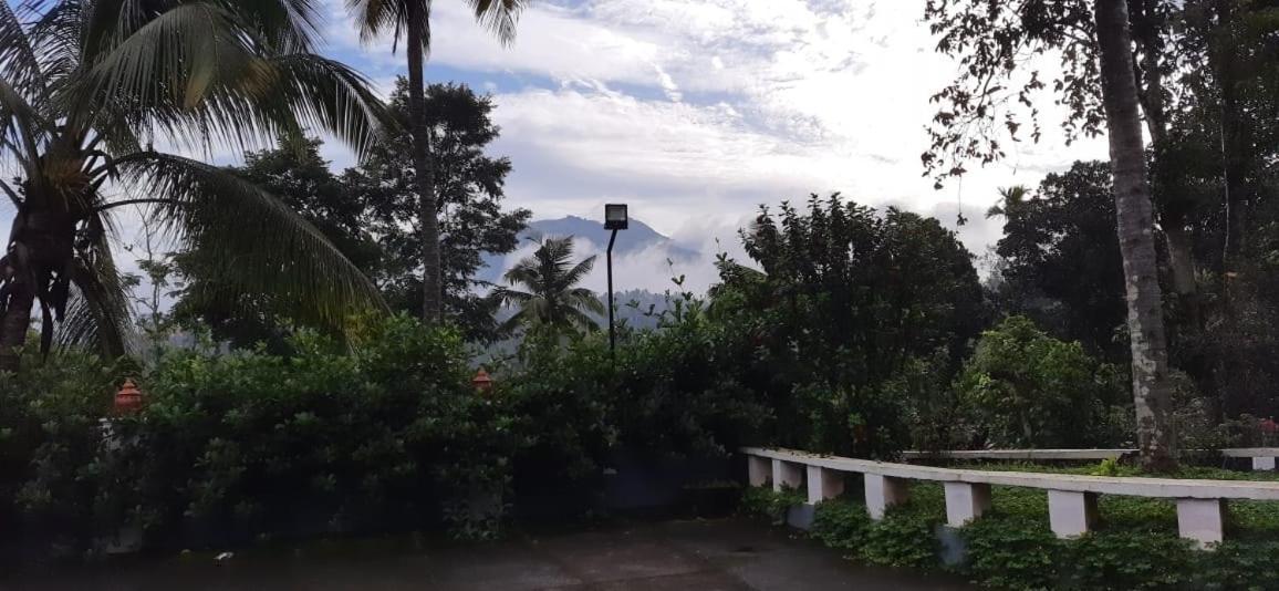 Pepper Valley Resort Kalpatta Exterior foto